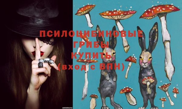 метадон Беломорск
