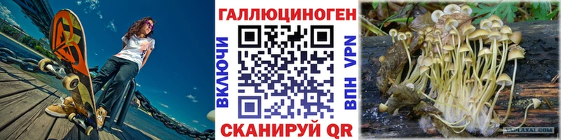 гидра ТОР  Верещагино  Псилоцибиновые грибы GOLDEN TEACHER 